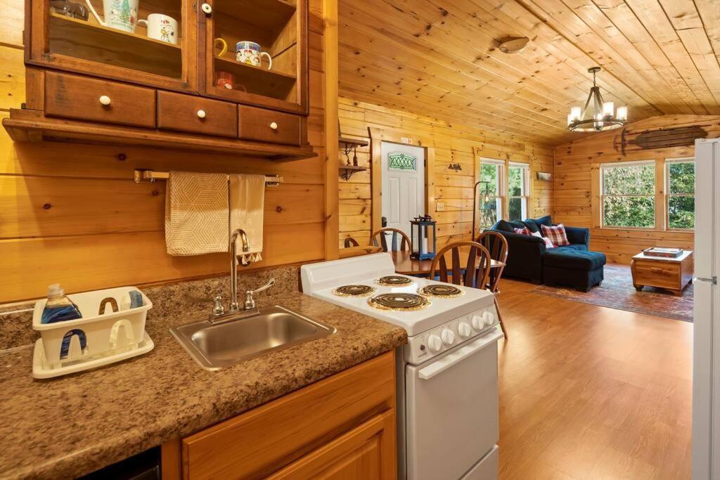 Dream Weaver Cabin Villa Candler Eksteriør bilde